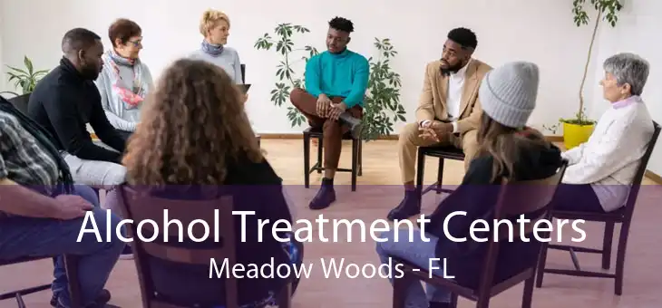 Alcohol Treatment Centers Meadow Woods - FL