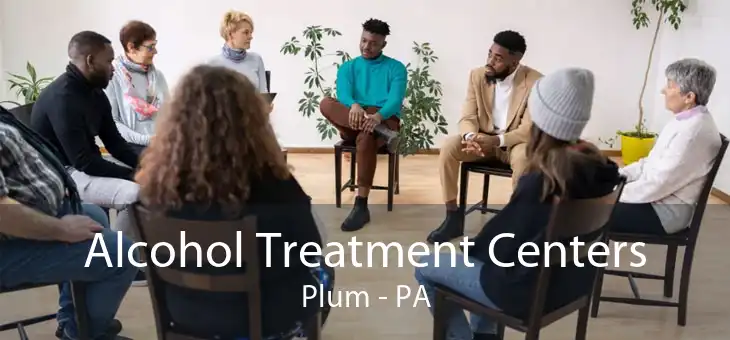 Alcohol Treatment Centers Plum - PA