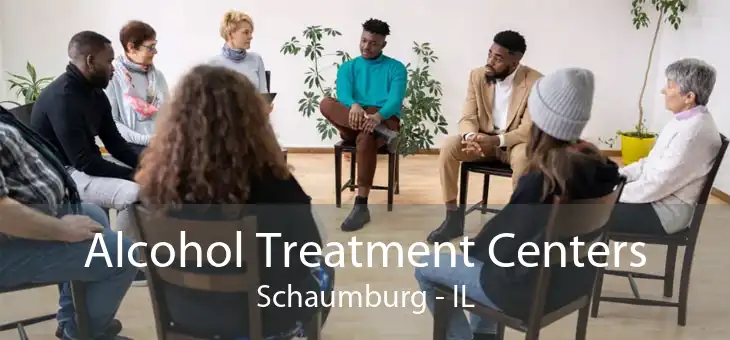 Alcohol Treatment Centers Schaumburg - IL