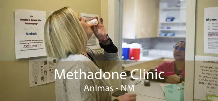 Methadone Clinic Animas - NM