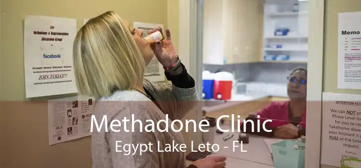 Methadone Clinic Egypt Lake Leto - FL
